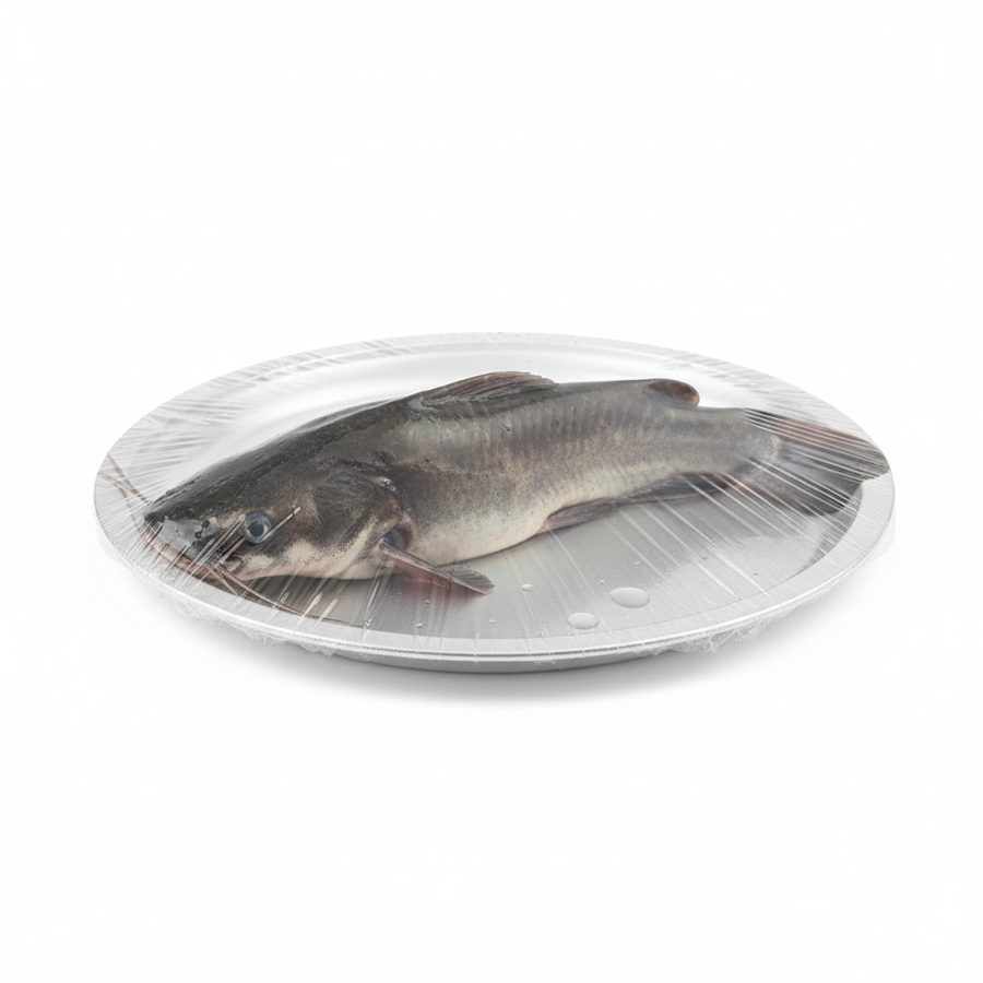 Catfish Fresh